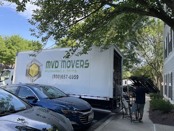 Mvd Movers LLC