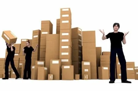 Carlo's Moving Services photo 2
