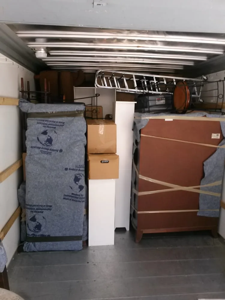 Alpha Wolf Moving photo 4