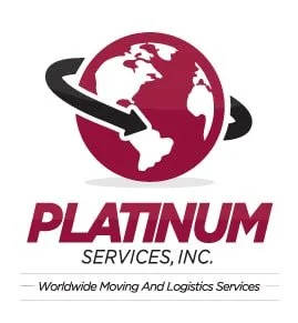Platinum Services Group INC