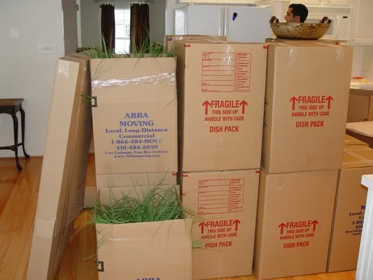 July 2001 photo 3