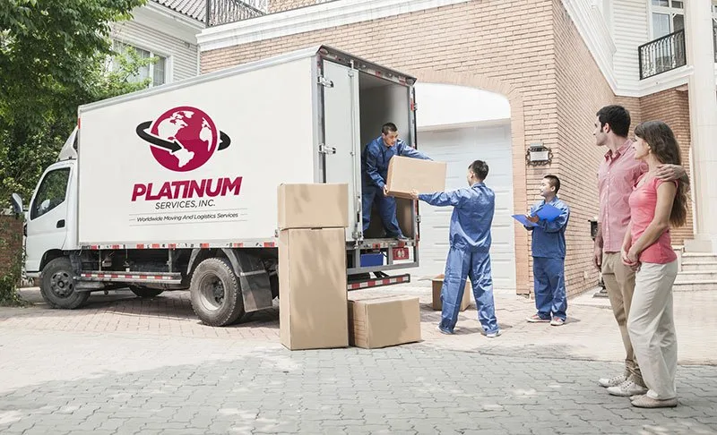 Platinum Services Group INC