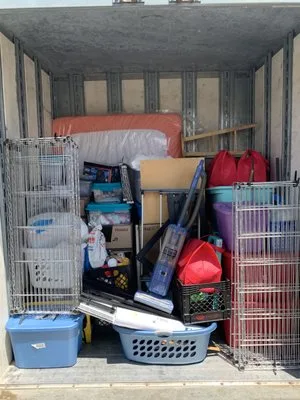 Alpha Wolf Moving photo 5
