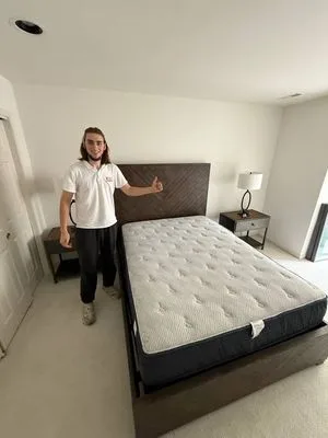 Ant Solution Moving Company