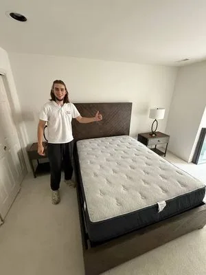 Ant Solution Moving Company