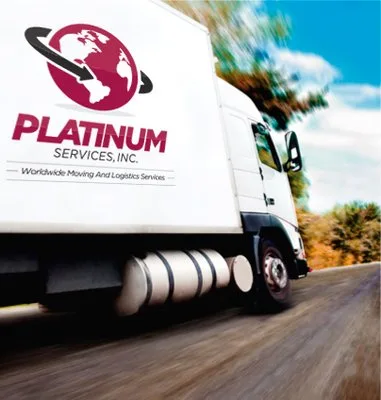 Platinum Services Group INC