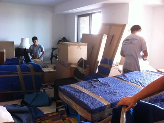 Mashav Relocation LLC